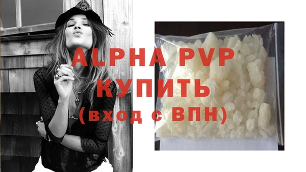 молекула духа Магадан