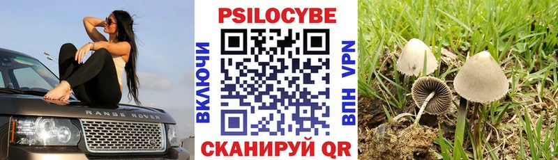 OMG   маркетплейс как зайти  Галлюциногенные грибы Psilocybine cubensis  где продают наркотики  Каспийск 